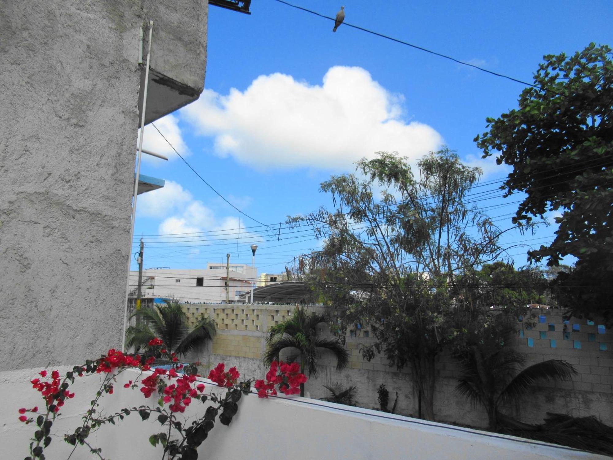 Cocos Διαμέρισμα Κανκούν Εξωτερικό φωτογραφία
